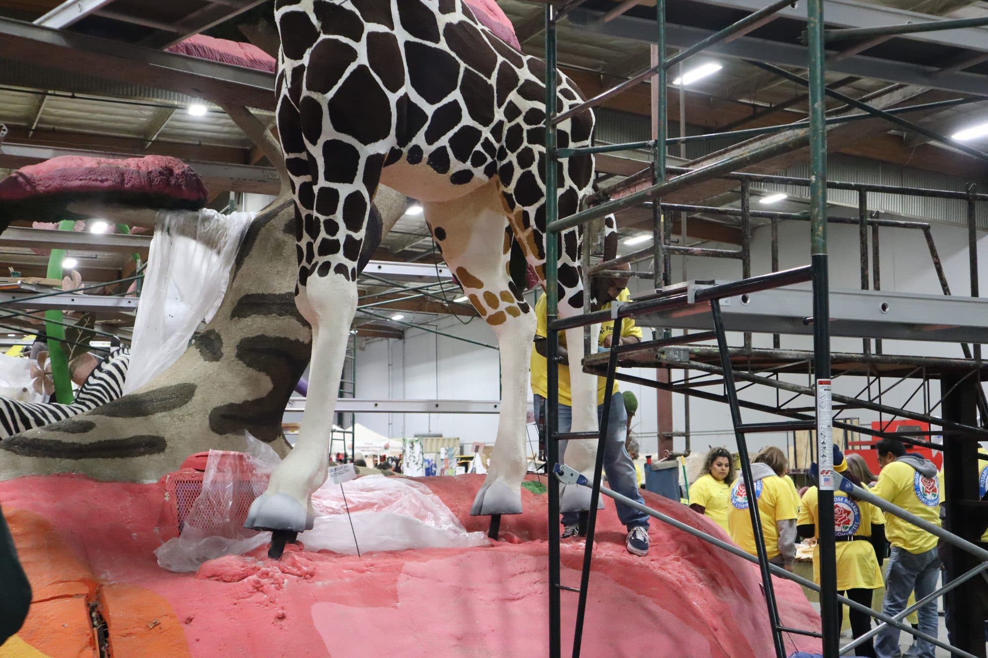 Decorating the Rotary Rose Parade float, frame 2