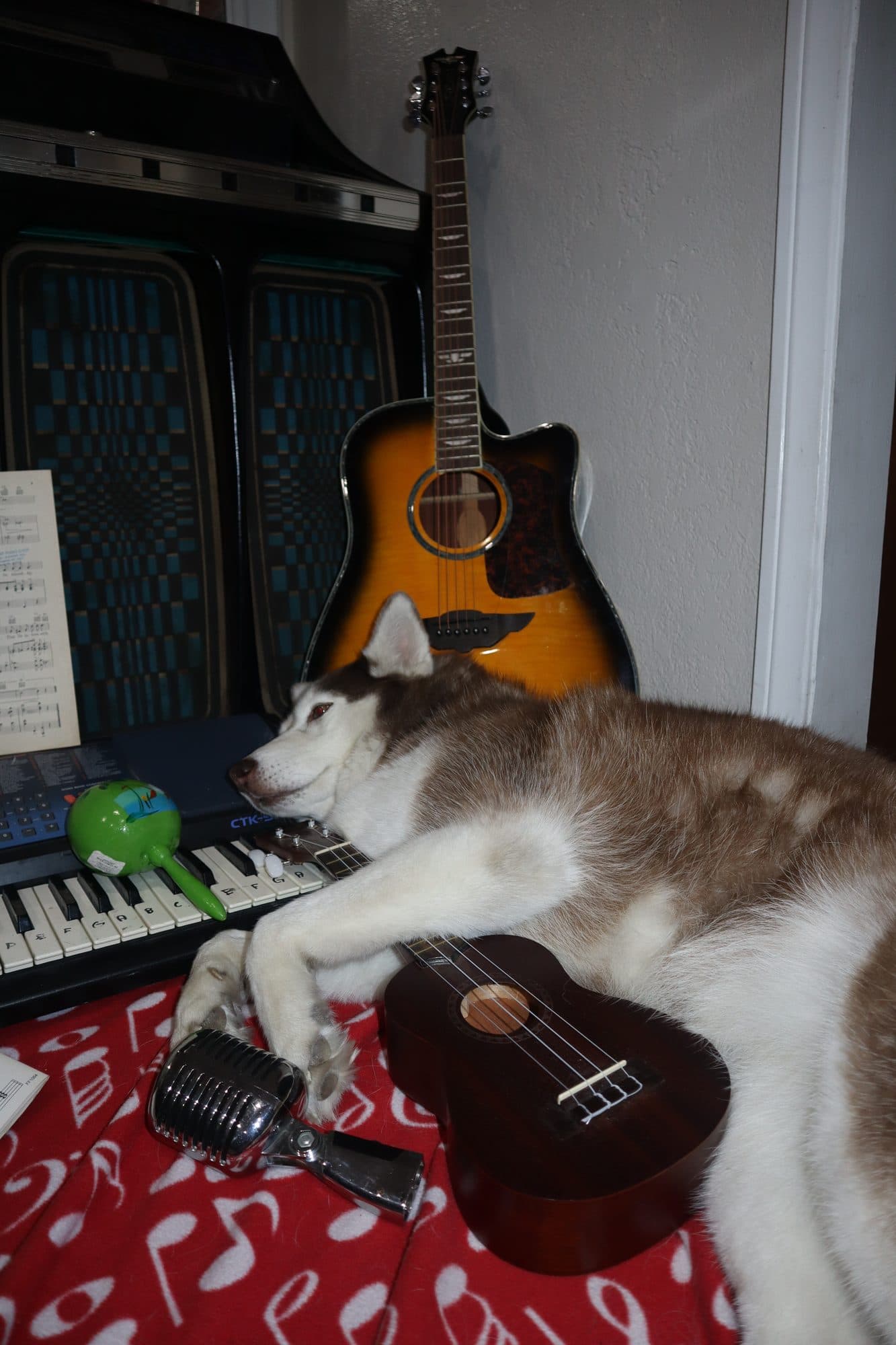 Bailey, for Tusk, frame 5