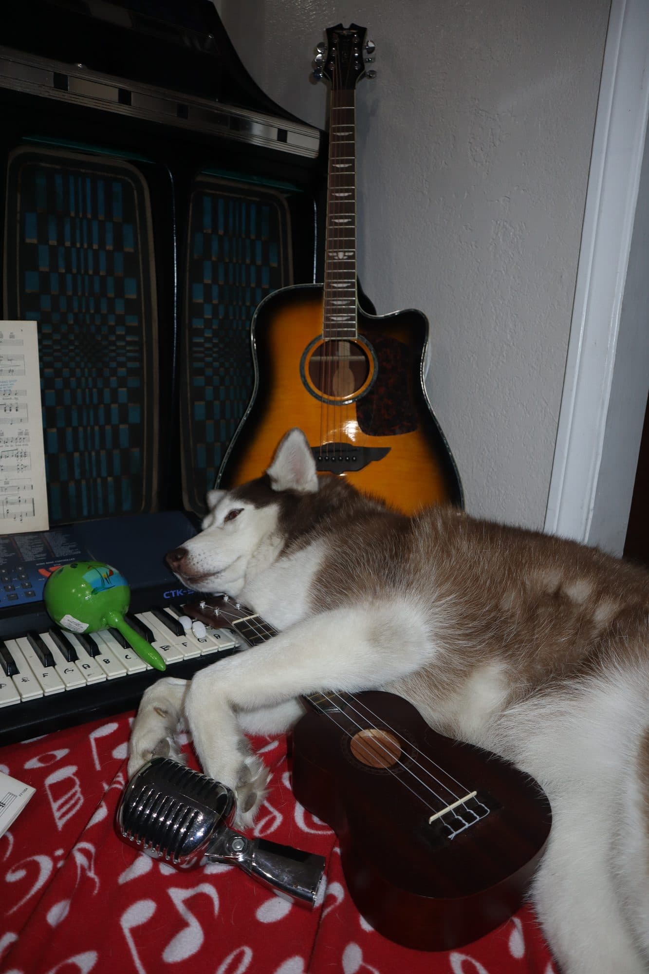Bailey, for Tusk, frame 6