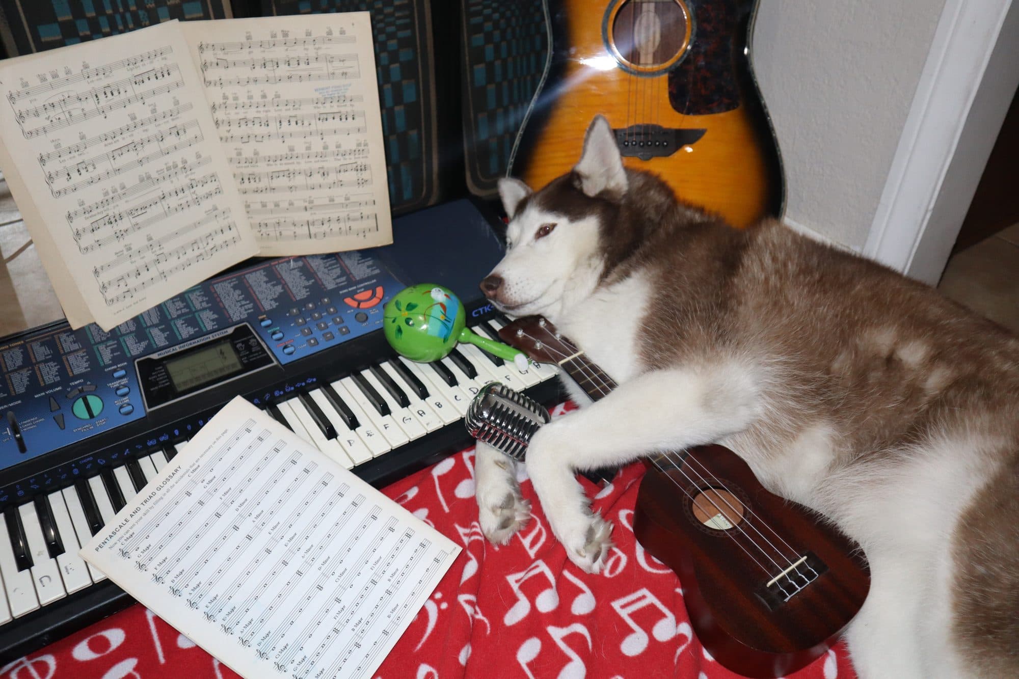 Bailey, for Tusk, frame 8