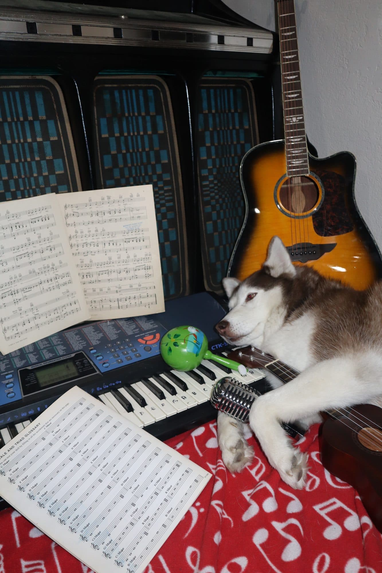 Bailey, for Tusk, frame 9