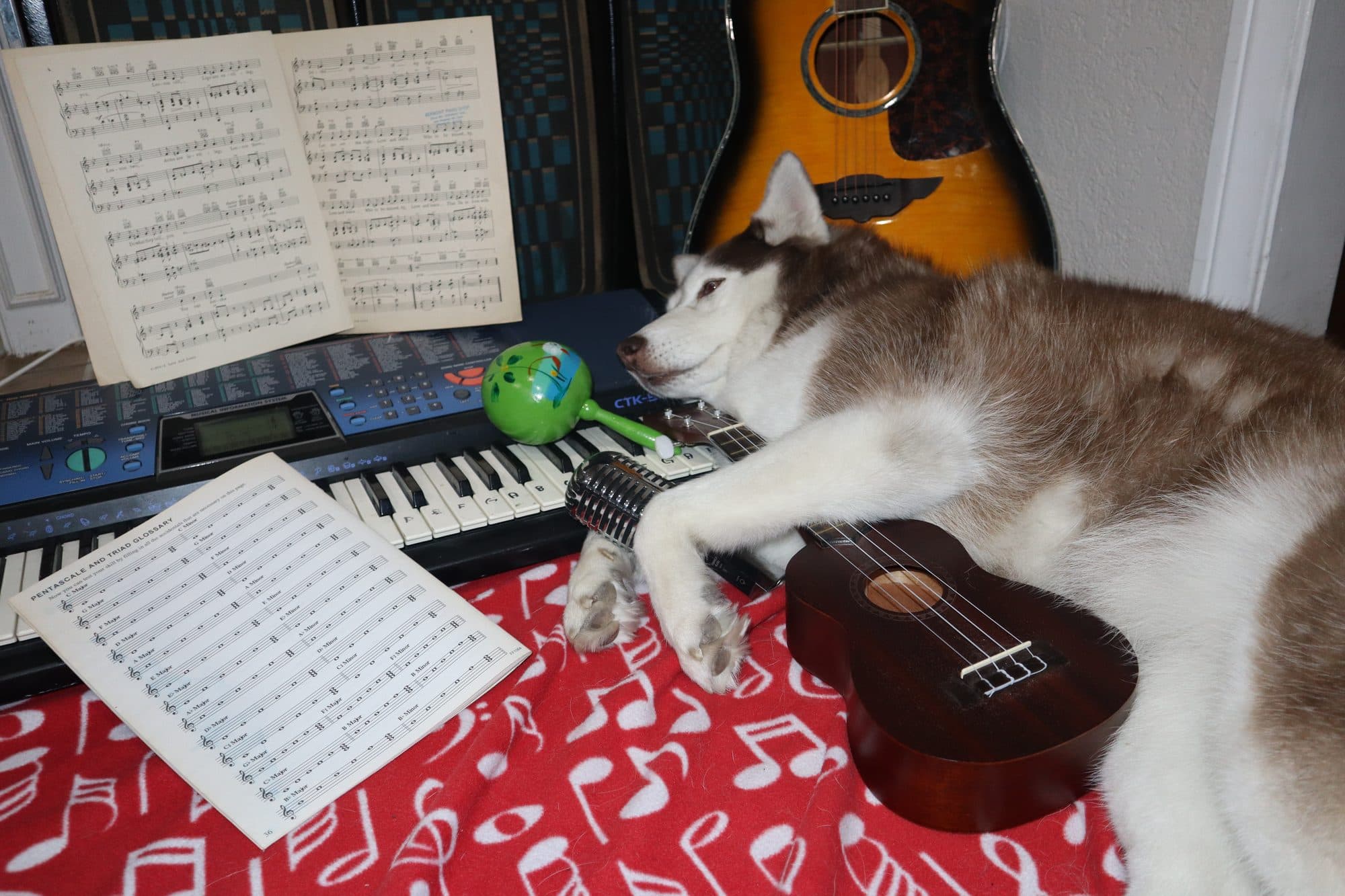 Bailey, for Tusk, frame 10