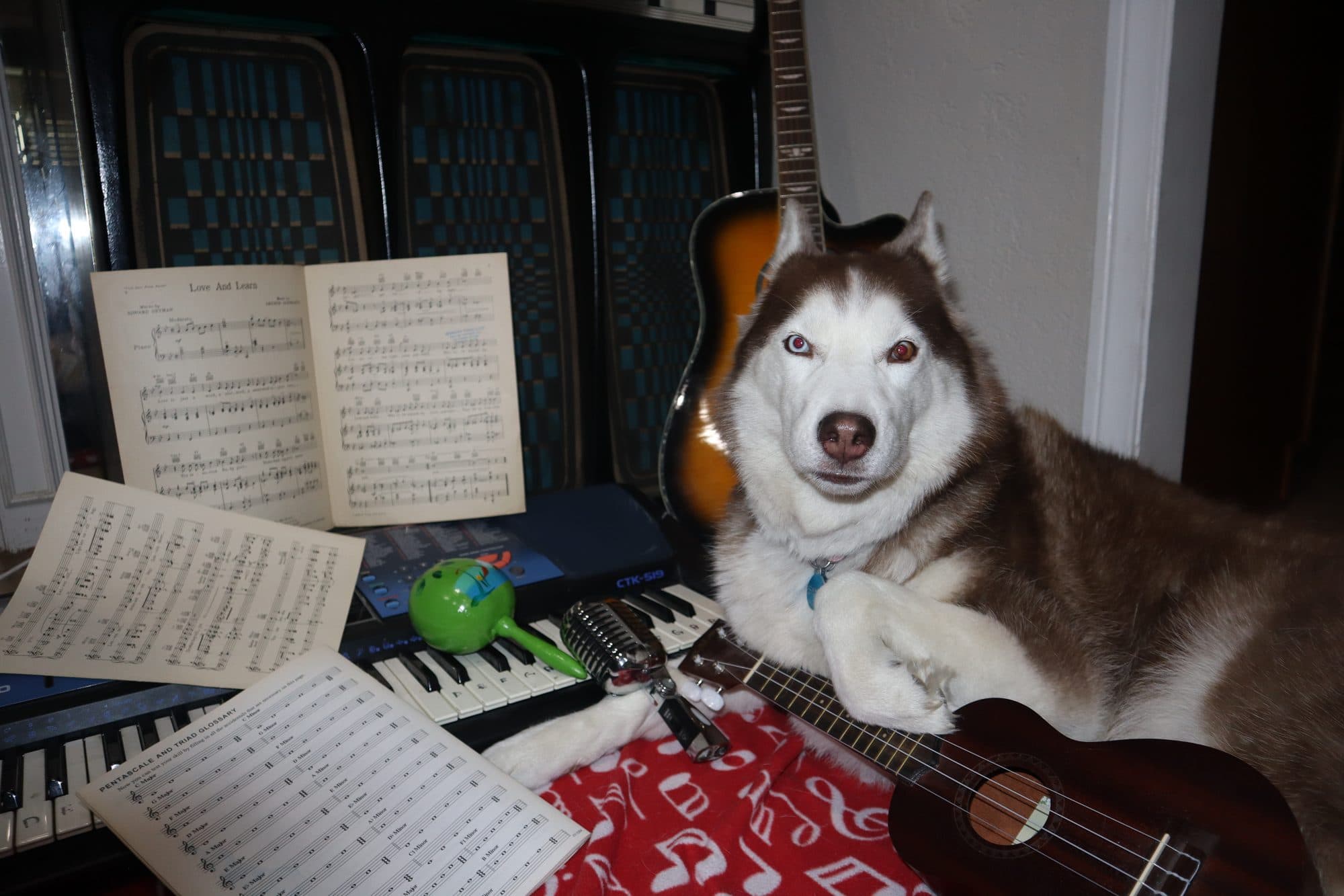 Bailey, for Tusk, frame 13