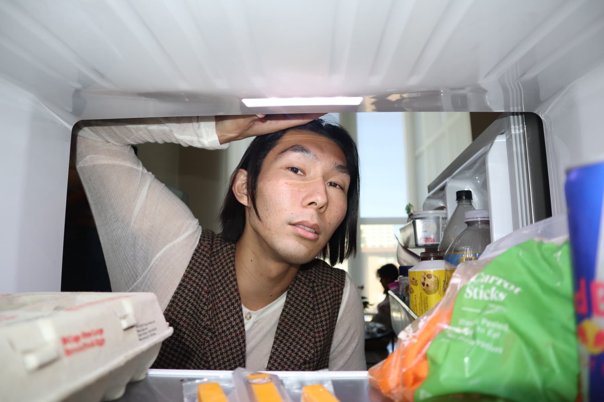 Portrait from inside the refrigerator, frame 1
