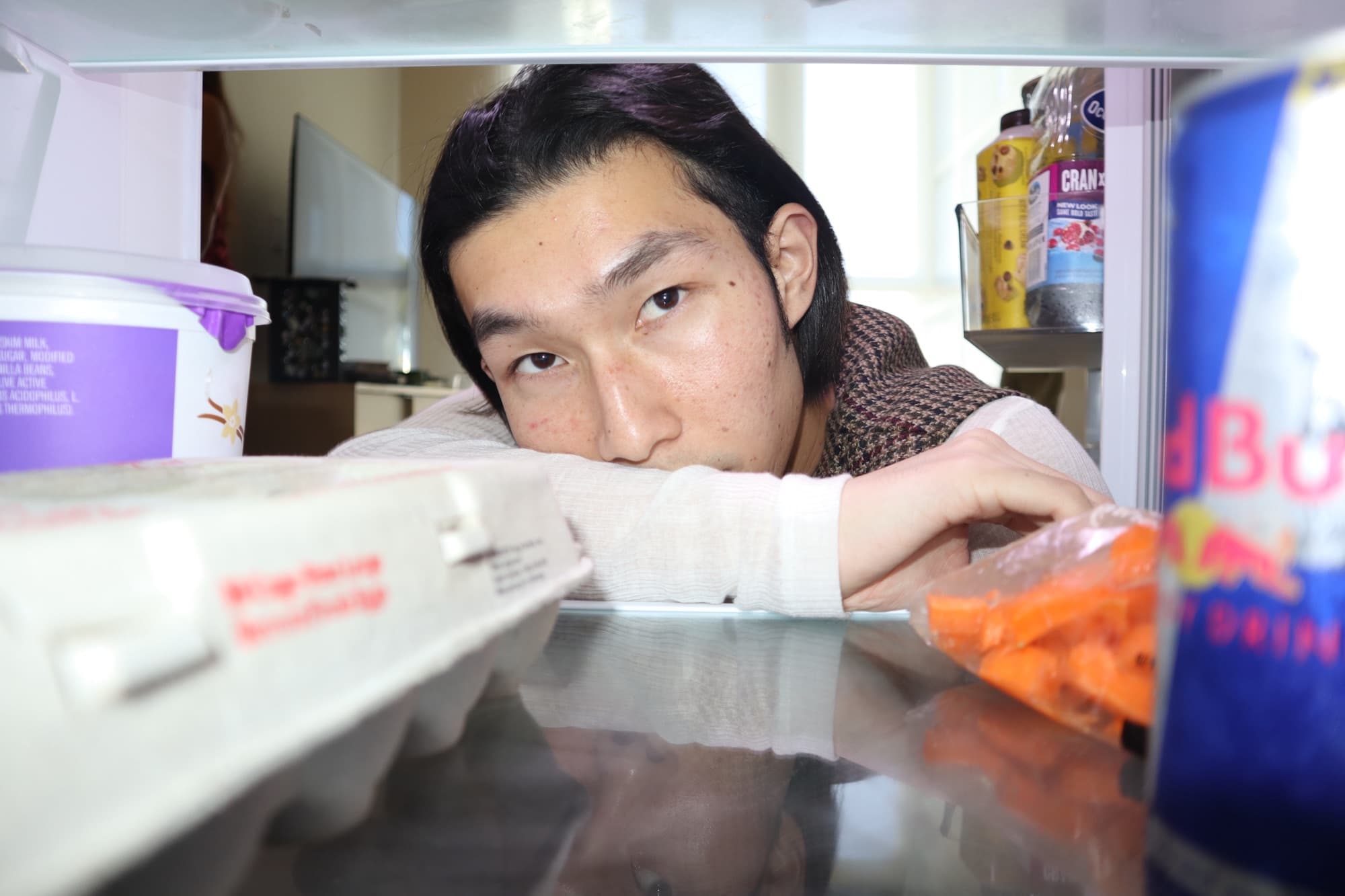 Portrait from inside the refrigerator, frame 4