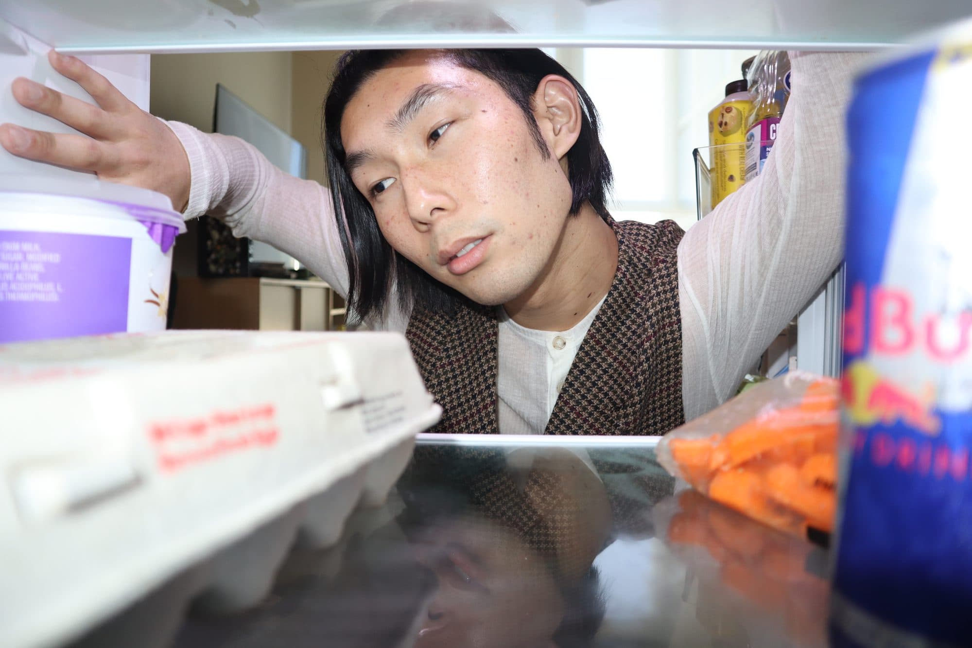 Portrait from inside the refrigerator, frame 13