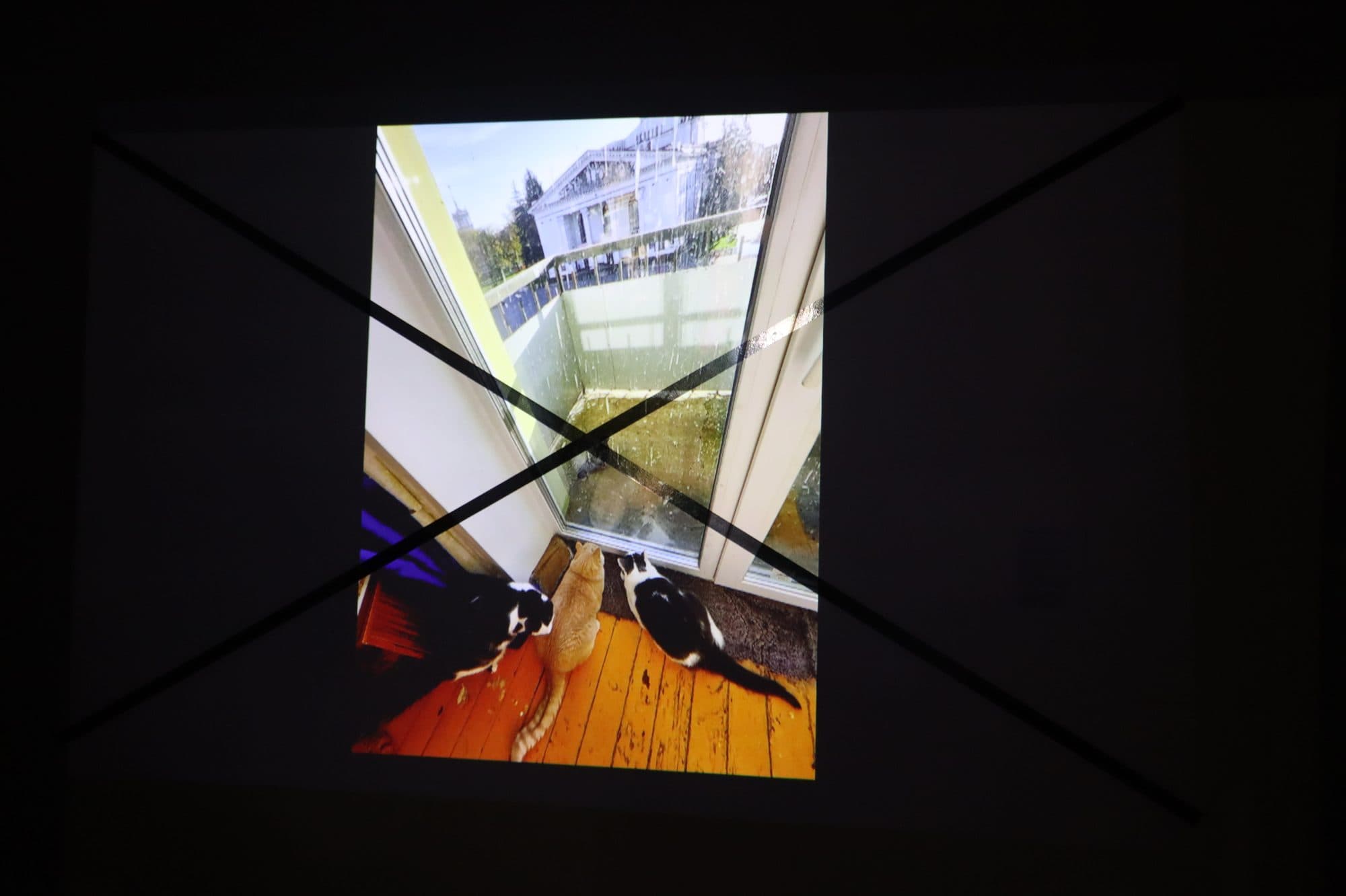 Diana Berg’s exhibit at Grand Central Art Center, frame 6