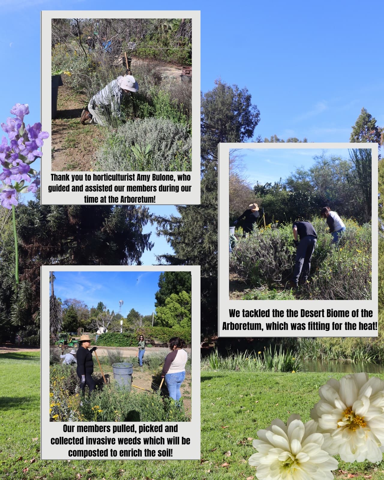 Service day at the Fullerton Arboretum · 02