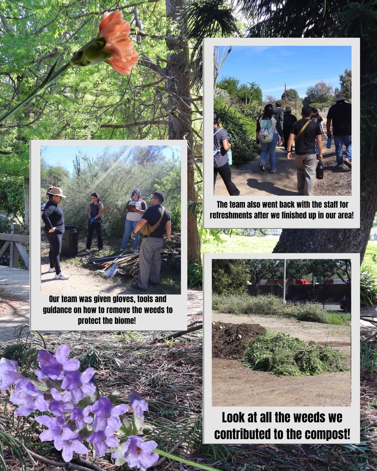 Service day at the Fullerton Arboretum · 03